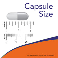 Capsule with measurement scale showing its size in both inches and millimeters.