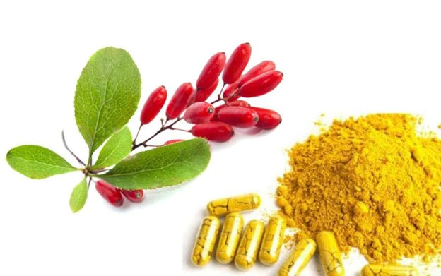 🌟Why Berberine? Weight Loss & 7 Reasons More🌿