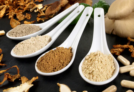 🌟 Unlocking the Magic of Lion's Mane Mushroom: A Fun Journey to Wellness! 🍄