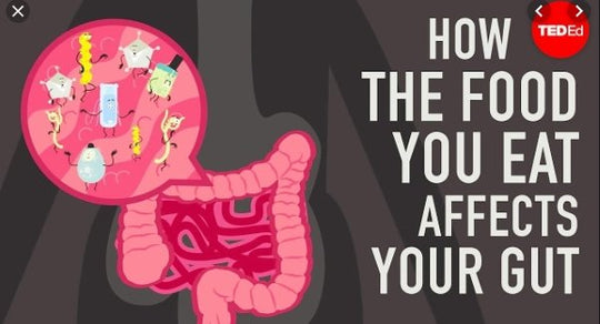 How the food you eat affects your gut! - Probiotic.ie