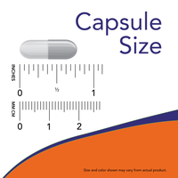 Capsule size chart with a ruler and an orange capsule illustration. Probiotic.ie
