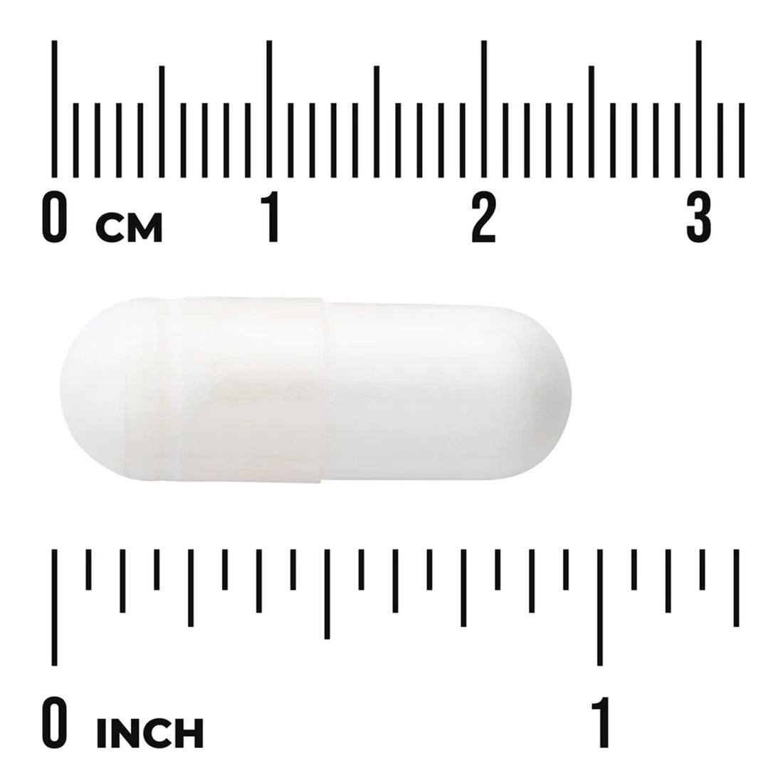 White cylindrical object with a ruler for scale on a white background