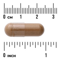 Swanson Lion's Mane 500mg fruiting body, supplement facts capsule size chart